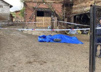 Su faturası için tartıştığı köy muhtarını öldürdü