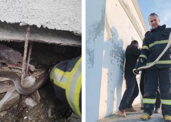 Depoya giren yılanı itfaiye ekipleri yakaladı