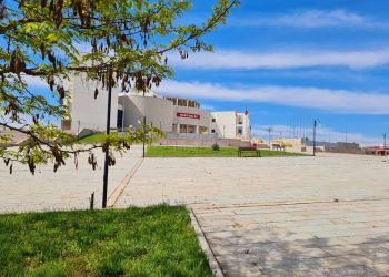 Kastamonu Üniversitesi’nden iklim değişikliği projesine destek