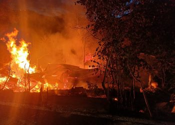 Bozkurt’ta yangın