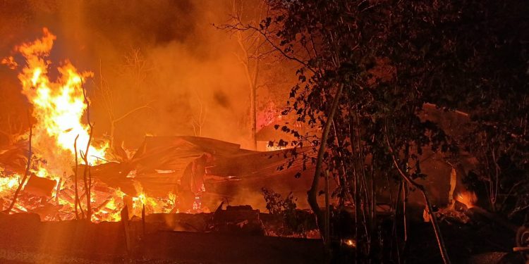 Bozkurt’ta yangın