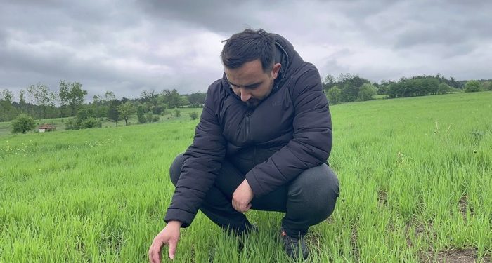 Siyezde yağmur bereketi