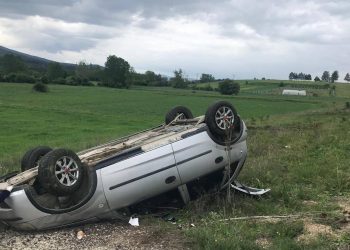 Başıboş köpekler otomobil devirdi!