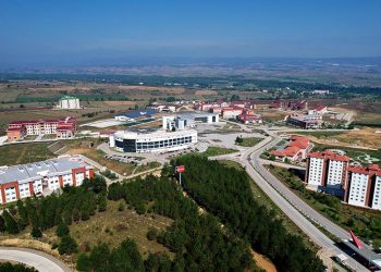 Kastamonu Üniversitesi, diyabet ve kanser tedavisinde silimarinin etkisi araştıracak