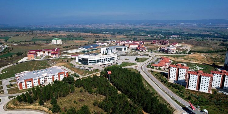 Kastamonu Üniversitesi, diyabet ve kanser tedavisinde silimarinin etkisi araştıracak
