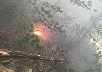 Yıldırım orman yakıyordu