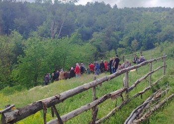 Traktörün altında kalan sürücü hayatını kaybetti