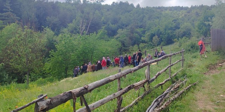 Traktörün altında kalan sürücü hayatını kaybetti