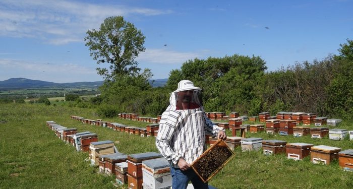 Kastamonu’da arıcılığı geliştirecek proje