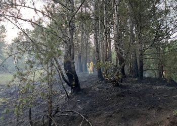 Yıldırım orman yangını çıkarttı