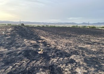 25 dönümlük arpa tarlası küle döndü