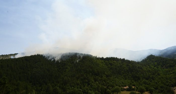 Yıldırımın yol açtığı orman yangına müdahale sürüyor