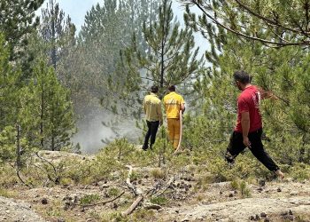 Orman yangınları kontrol altına alındı
