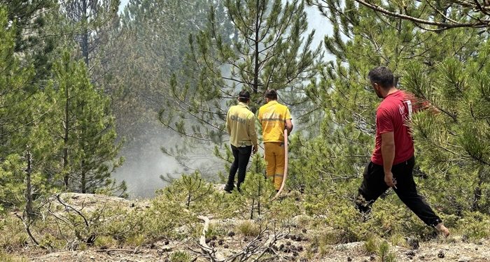 Orman yangınları kontrol altına alındı