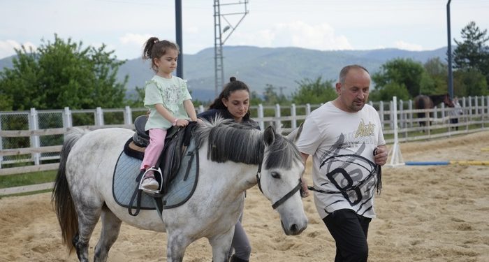 Daday’da atlı terapi