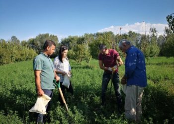 Meralarımız ekonomik değere dönüştürülecek
