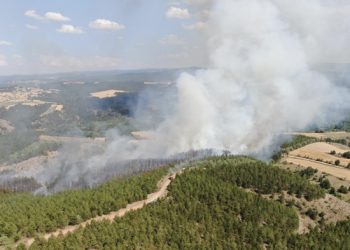 Alpağut’ta orman yangını