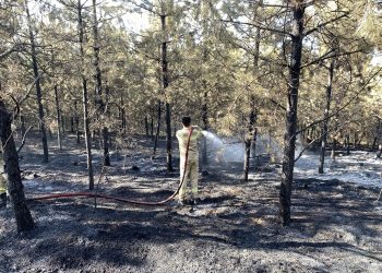 Orman yangını kontrol altına alındı