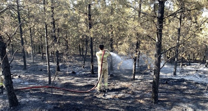 Orman yangını kontrol altına alındı