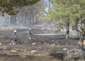 Orman yangını söndürüldü