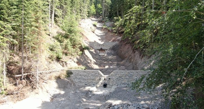 Sellere karşı tensip bentleri