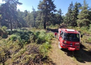 Orman yangını büyümeden söndürüldü