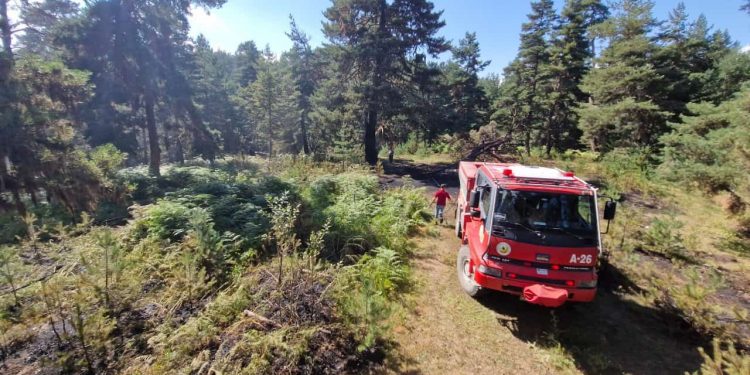 Orman yangını büyümeden söndürüldü