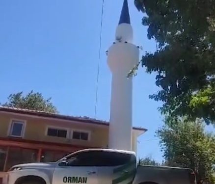 Orman yangınlarına anonslu önlem