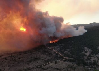 Çankırı Ilgaz’daki orman yangını büyüyor