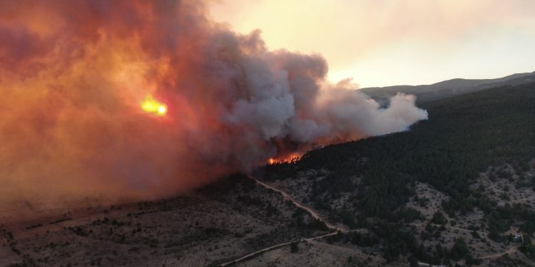 Çankırı Ilgaz’daki orman yangını büyüyor