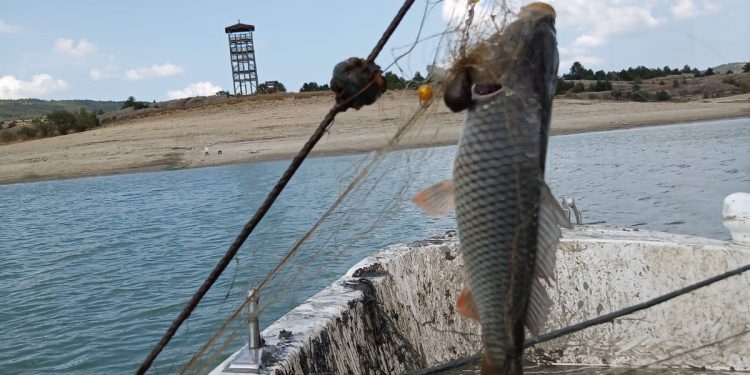 Barajdan 2 kilometre uzunlukta hayalet ağ çıktı