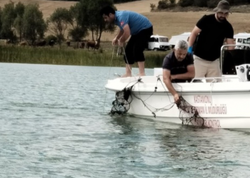Yumurtacı göletini ağa boğmuşlar