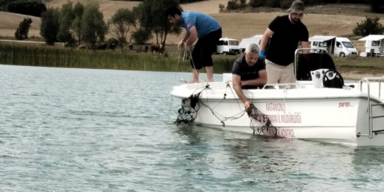 Yumurtacı göletini ağa boğmuşlar