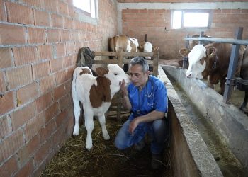 Hayvan sevgisi için hemşireliği bırakıp veteriner hekim oldu