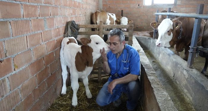 Hayvan sevgisi için hemşireliği bırakıp veteriner hekim oldu