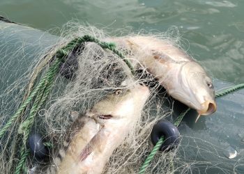 Amatör balıkçının duyarlılığı sayesinde 5 bin metrelik ‘hayalet ağ’ ele geçirildi