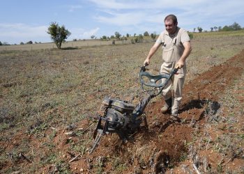 Deneme amaçlı böğürtlen dikti, şimdi siparişlere yetişemiyor