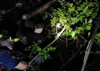 Ormanda kaybolan iki kişi aranıyor