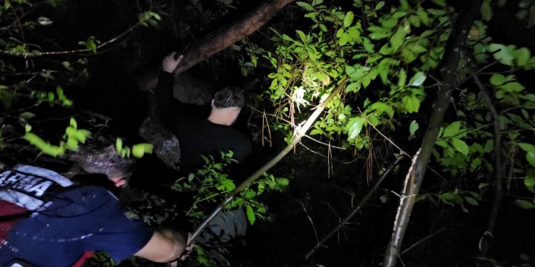 Ormanda kaybolan iki kişi aranıyor