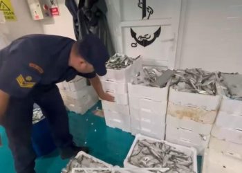 Küçük lüfer avlayanlara binlerce lira ceza