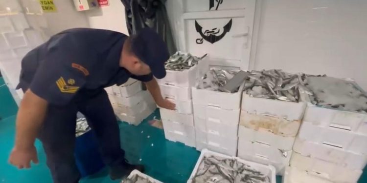 Küçük lüfer avlayanlara binlerce lira ceza