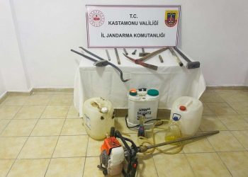 Define avcılarına suçüstü