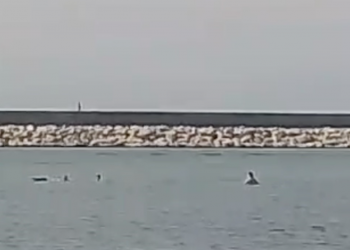 Boğulma tehlikesi geçiren genci vatandaşlar kurtardı