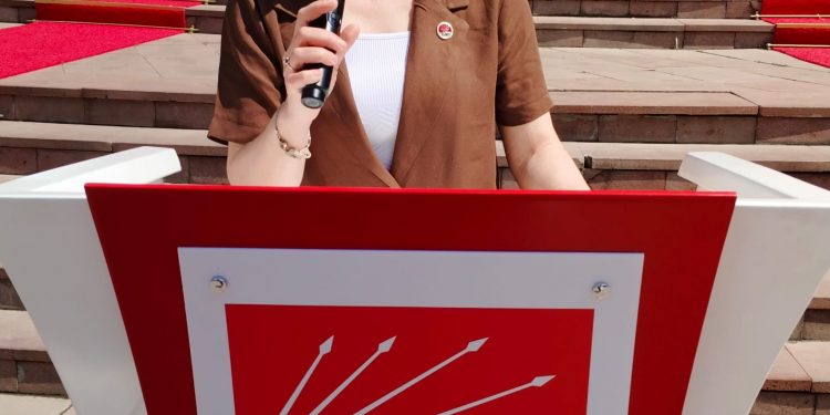 CHP İl Kadın Kolları Başkanı’nın açıklaması