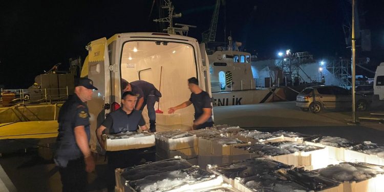 162 kasa küçük balık ele geçirildi