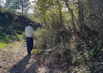 Komşunun köpeklerine bıçaklı saldırı!