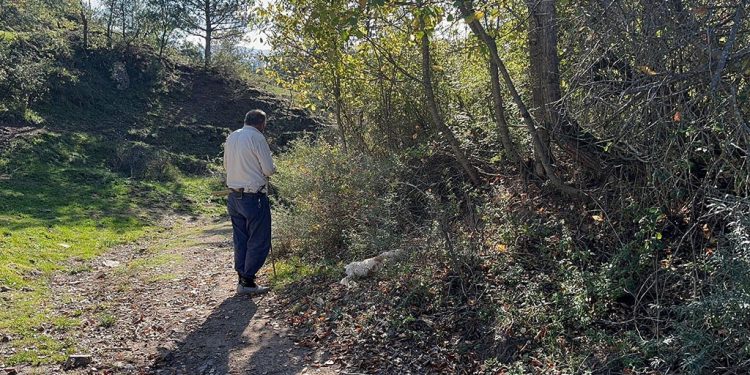 Komşunun köpeklerine bıçaklı saldırı!