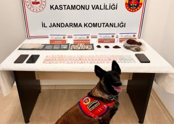 Uyuşturucu operasyonu: 1 tutuklama