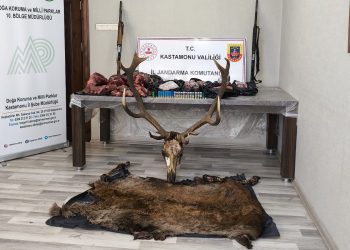 Geyik sucukçularına para cezası!