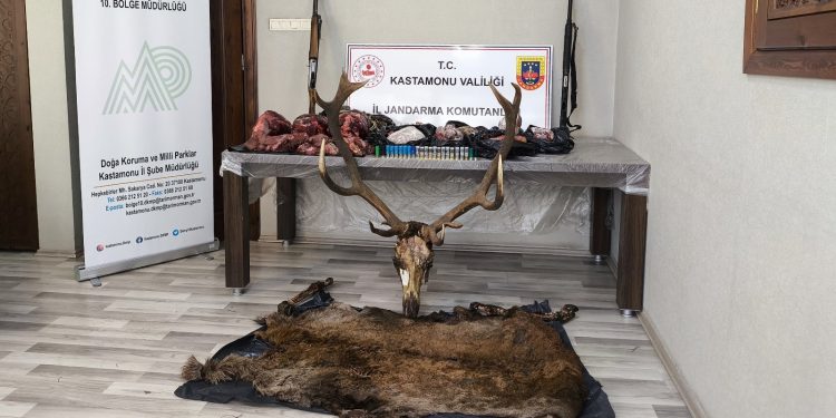 Geyik sucukçularına para cezası!